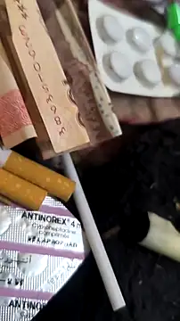 trans511 online show from April 11, 8:57 pm