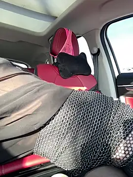  AHHA  online show from February 27, 10:59 am