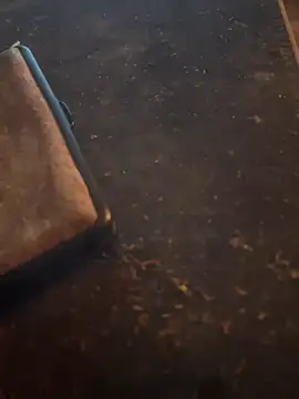 Snapshot of FreshWonder0 chatting on November 17, 5:19 pm FreshWonder0 online show from November 17, 5:19 pm