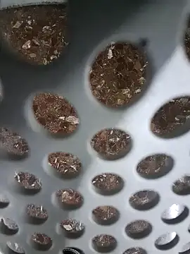 SexyErola27 online show from December 6, 11:11 am