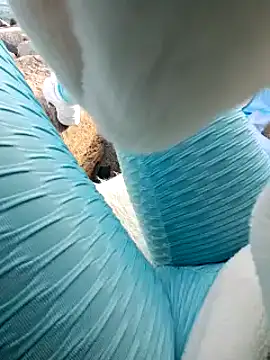 SexyErola27 online show from January 24, 3:13 pm