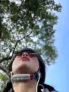 Game yoyo online show from October 28, 3:43 am