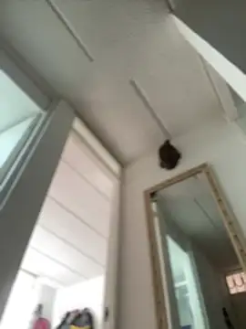 Mila Morgan online show from February 27, 2:43 pm