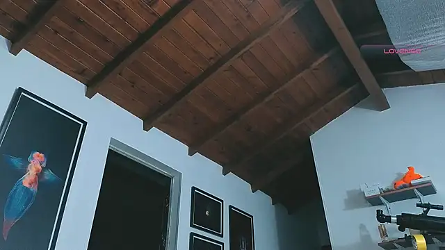 SilvaBranko online show from March 14, 12:06 am