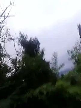 maleesa online show from October 1, 5:13 am