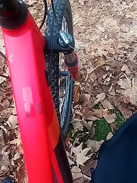 maleesa online show from November 2, 6:27 am