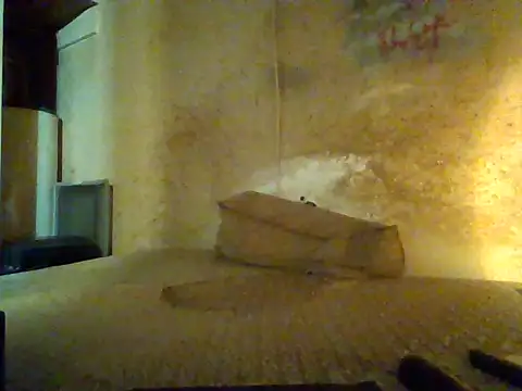 Nightshade7712 online show from September 13, 7:57 pm