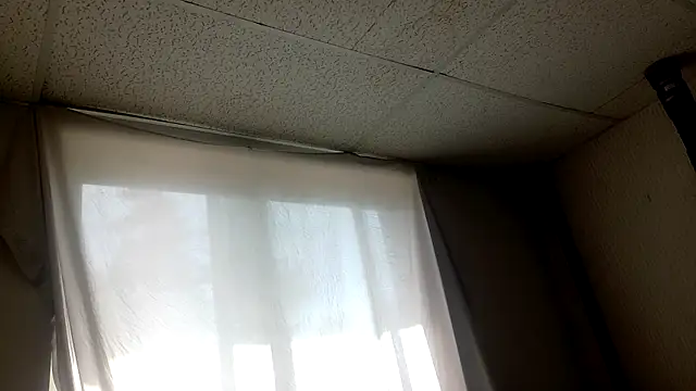 Armyexhibitionistvet online show from April 5, 7:22 pm