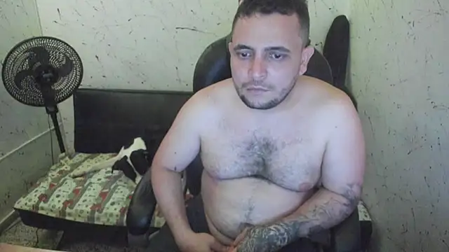  ace ventura online show from December 17, 4:51 am