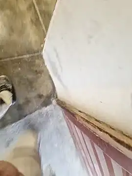 robertilevis online show from February 27, 8:58 am