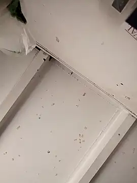 Snapshot of Giselabrunette25 chatting on December 15, 2:43 pm Giselabrunette25 online show from December 15, 2:43 pm