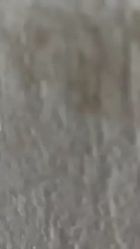 Ishikarana online show from October 8, 5:05 am