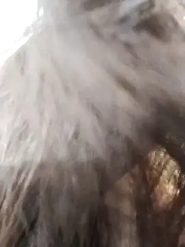 Kiritika 1 online show from March 25, 2:39 am