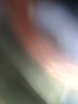 Snapshot of jasss-11 chatting on November 4, 5:23 pm jasss-11 online show from November 4, 5:23 pm