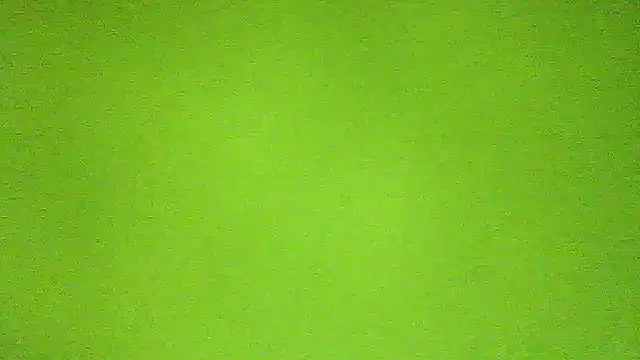 AbbyX online show from November 29, 10:29 am