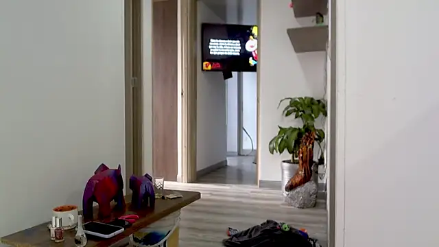 adan eva960 online show from February 20, 3:19 pm