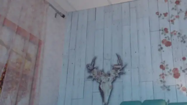 Snapshot of Alison_Simmons chatting on February 5, 11:44 am Alison Simmons online show from February 5, 11:44 am