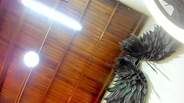 Levy Steve online show from October 3, 3:58 am