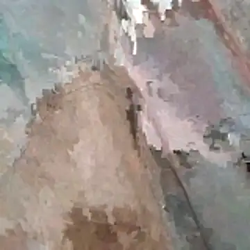 Snapshot of jockey2051992 chatting on March 7, 3:25 am jockey2051992 online show from March 7, 3:25 am