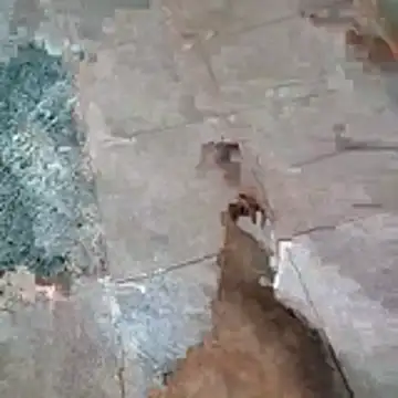 Snapshot of jockey2051992 chatting on April 13, 2:50 am jockey2051992 online show from April 13, 2:50 am