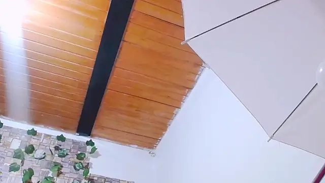 Snapshot of MaidenGame chatting on February 19, 3:19 pm MaidenGame online show from February 19, 3:19 pm