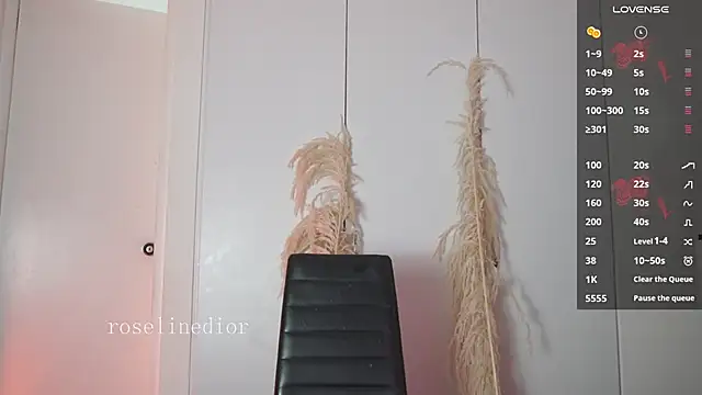 roselinedior online show from January 15, 1:16 pm