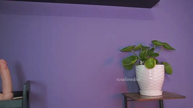 roselinedior online show from May 26, 1:29 pm