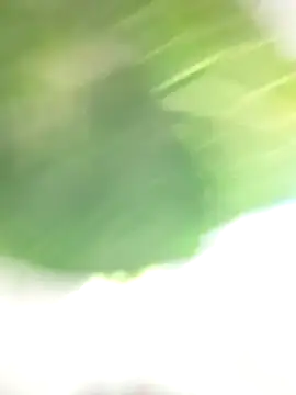 Wanda and cosmo  online show from March 7, 8:55 pm