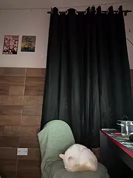 izumikarol online show from March 11, 3:12 am