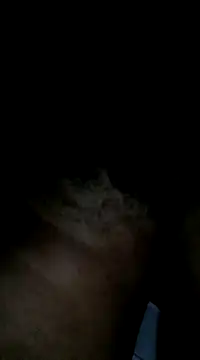 Sergipano fogozinho online show from January 28, 5:00 am