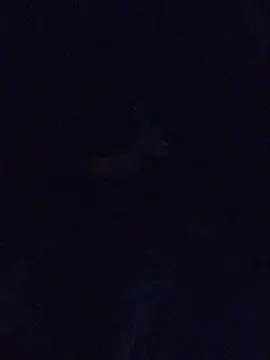 Snapshot of MrDickUdown24_7 chatting on February 23, 6:39 am MrDickUdown24 7 online show from February 23, 6:39 am