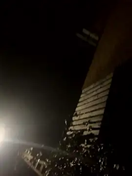 jent59 online show from January 17, 2:16 am