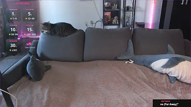 Snapshot of Clairedelilah chatting on January 21, 8:32 pm Clairedelilah online show from January 21, 8:32 pm