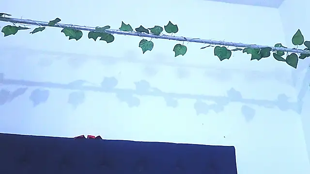 AliciaBasch online show from January 9, 2:01 am