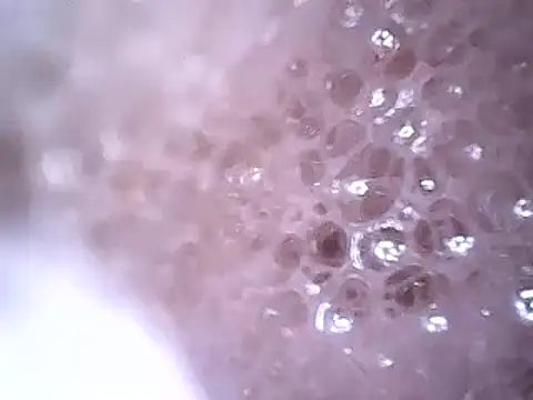 Beijing2000 online show from December 19, 2:45 am