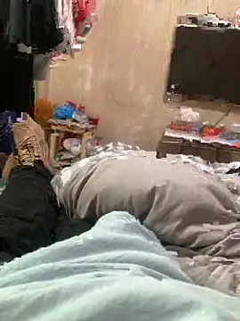 Beijing2000 online show from January 30, 6:03 am