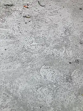 Beijing2000 online show from October 11, 2:33 am