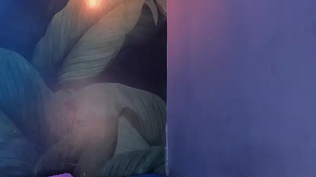 sweett dirty online show from February 1, 3:28 pm