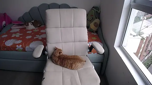  arianalzate  online show from January 29, 8:04 pm