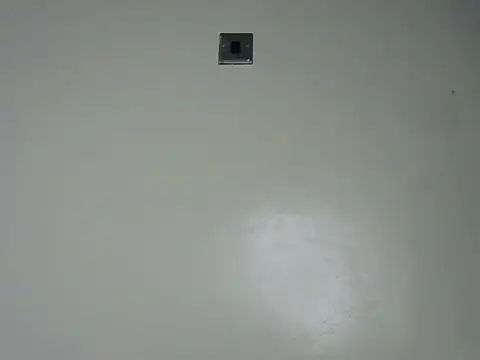 Rasta tattooed online show from December 19, 2:18 am