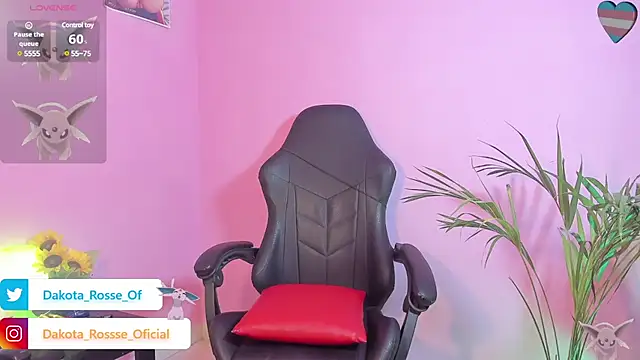 DakotaRosee online show from December 4, 6:44 am