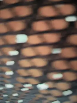 Rose-euphoria online show from November 5, 1:44 pm