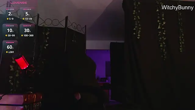 witchybunny online show from December 31, 10:58 am