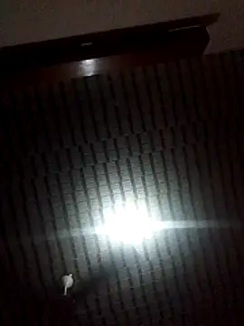 Snapshot of Blackpenis28 chatting on February 1, 10:36 am Blackpenis28 online show from February 1, 10:36 am