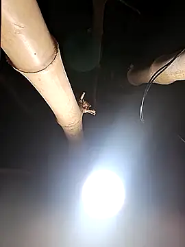 HotSexyBoudi online show from February 26, 8:24 am