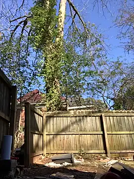 trash4cash online show from January 28, 8:04 pm