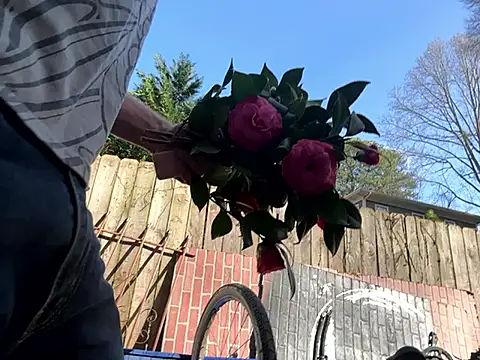 trash4cash online show from March 7, 9:06 pm