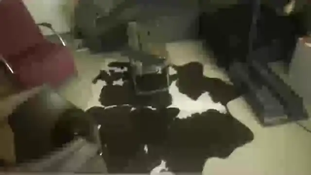 Snapshot of oopsxx chatting on December 22, 1:57 am oopsxx online show from December 22, 1:57 am