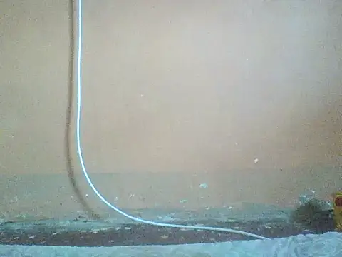 Naivegirrl online show from November 2, 9:00 am