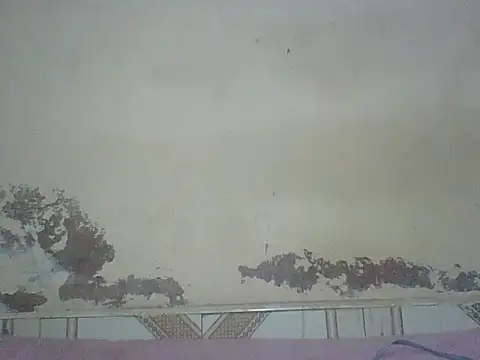 Snapshot of Naivegirrl chatting on August 1, 4:17 pm Naivegirrl online show from August 1, 4:17 pm